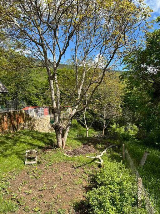 Cosy Mountain Villa In Nizepole Битоля Екстериор снимка