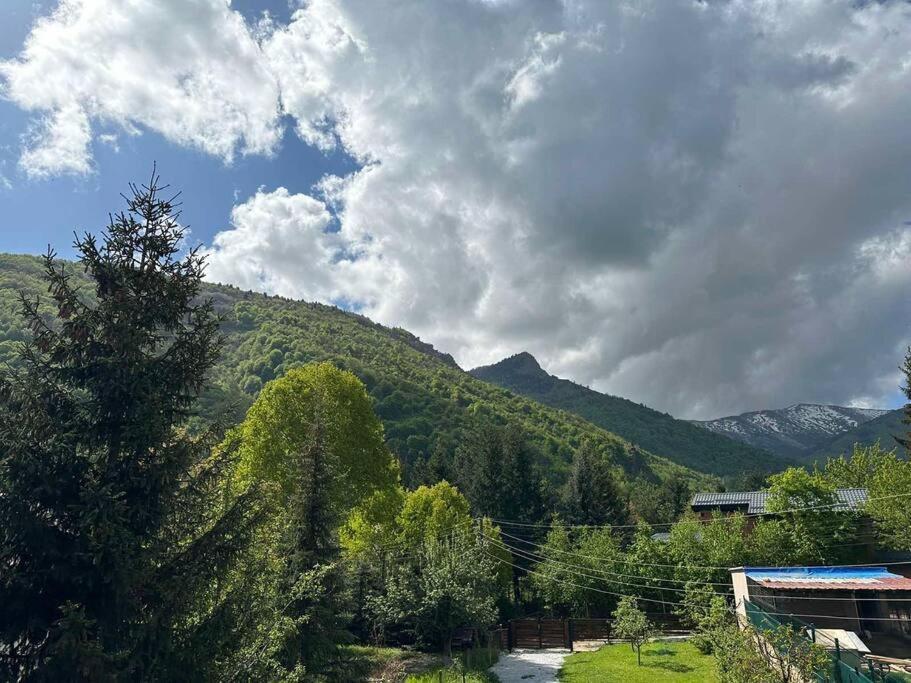Cosy Mountain Villa In Nizepole Битоля Екстериор снимка